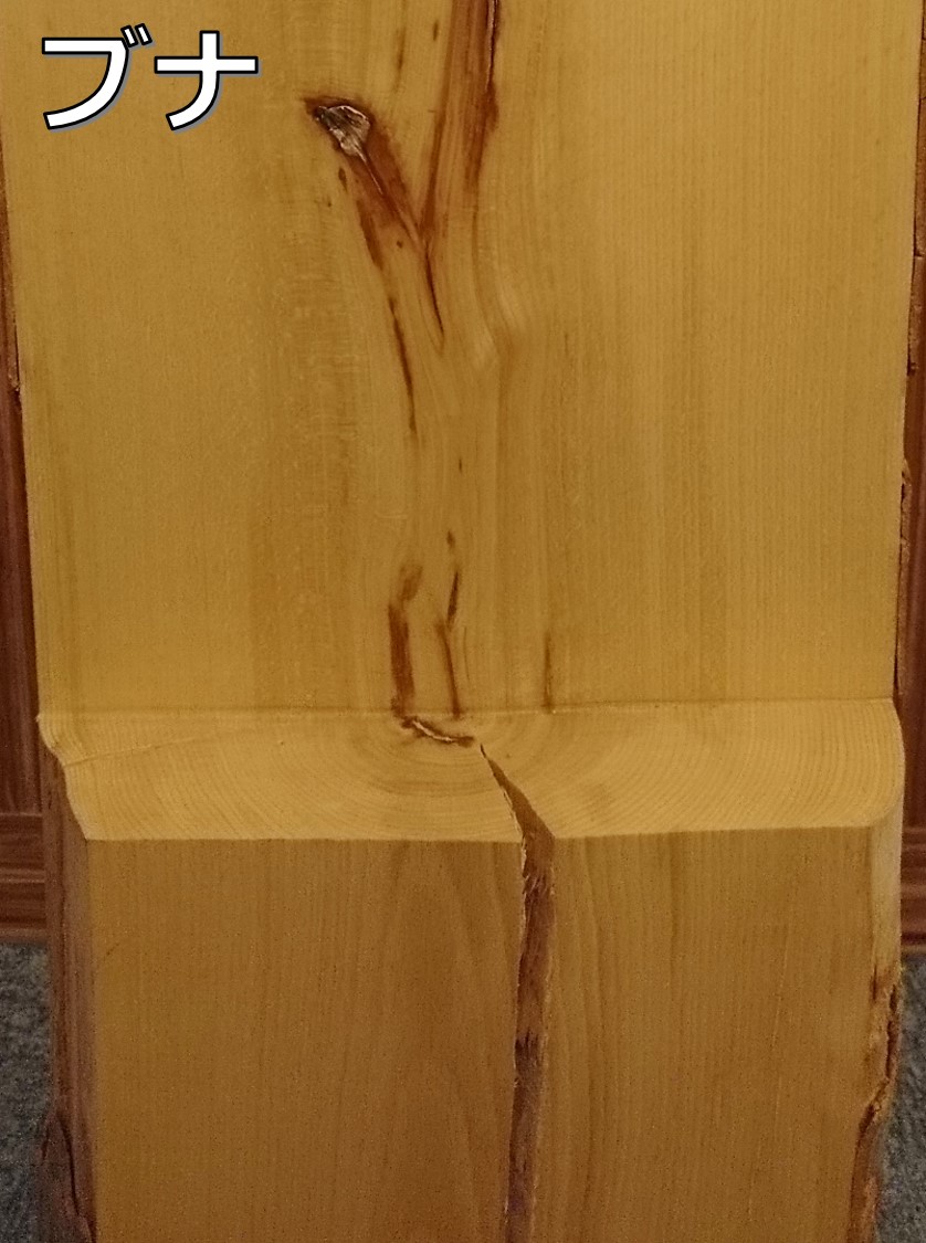 ブナの木材
